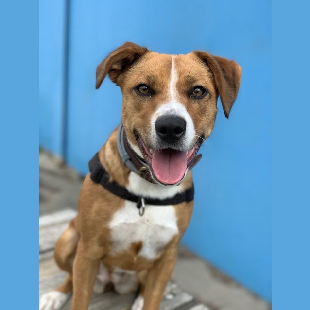 Photo of Skye 
