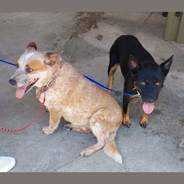 Photo of Jess And Mo Mo