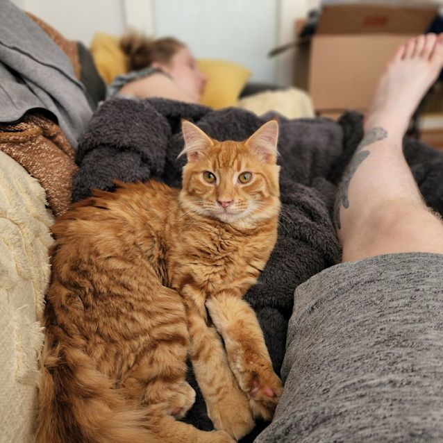 Photo of Julietta & Howie