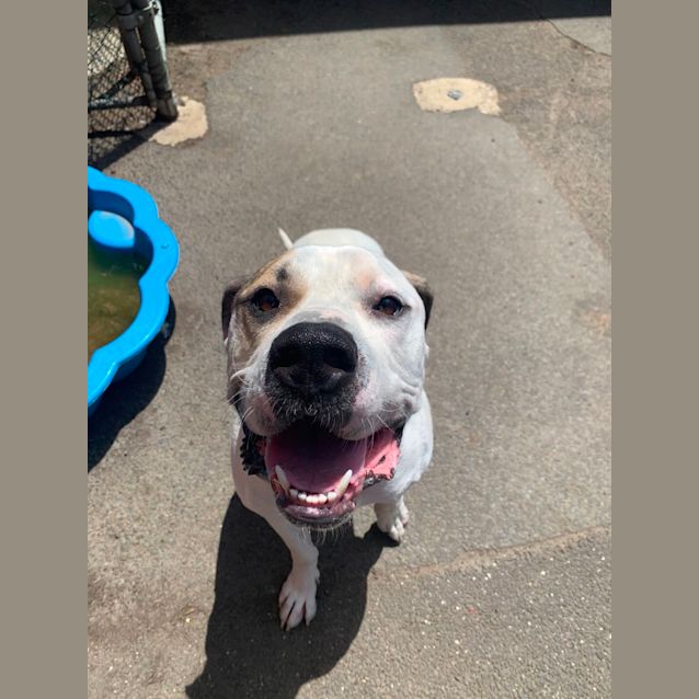 Photo of Harley