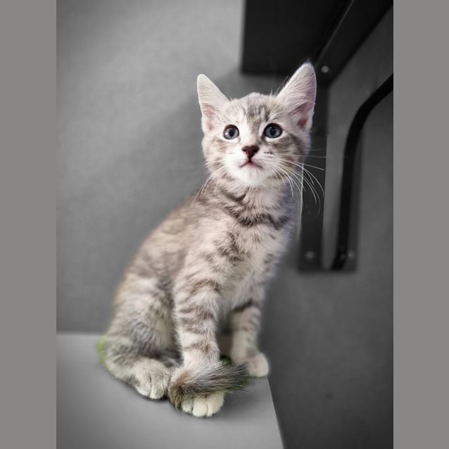 Photo of Winnie 
