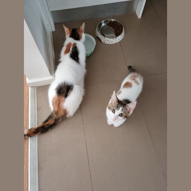 Photo of Belle Belle 🦋