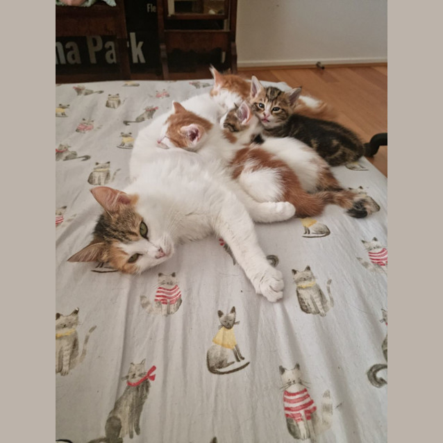 Photo of Belle Belle 🦋