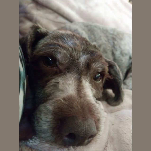 Photo of Beatrice & Clementine 