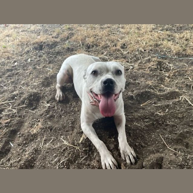 Photo of Maggie (Imp No. 1870)