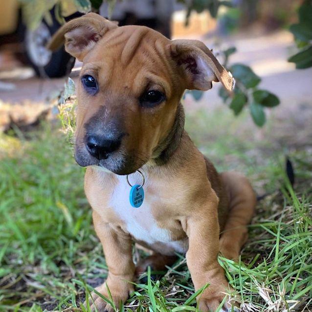 Photo of Tyrion