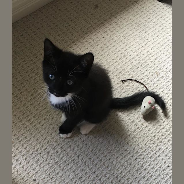 Photo of Remy