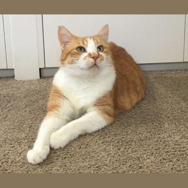 Photo of Bob