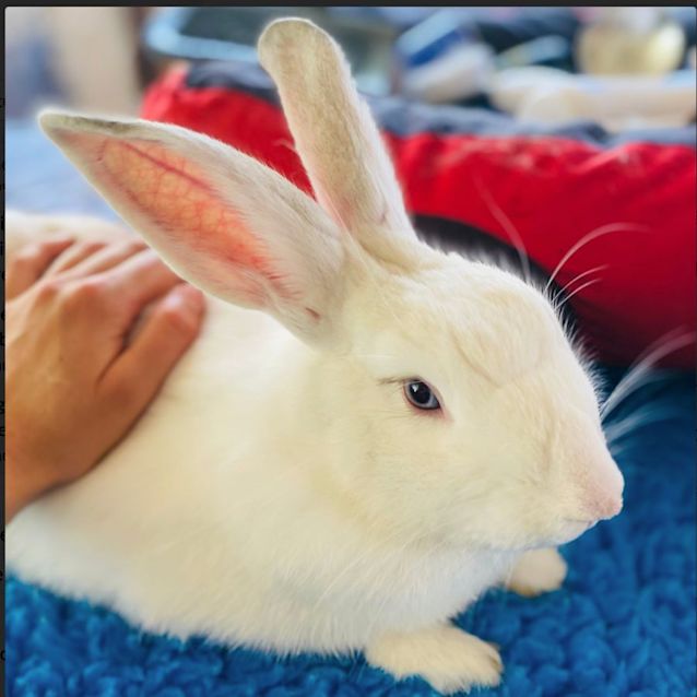 Photo of Wiggle Wiggle