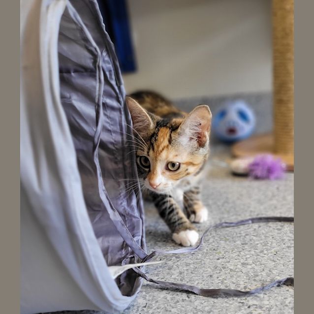 Photo of Bianca Barclay