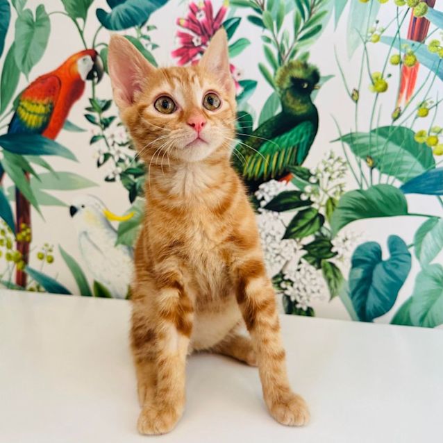 Photo of Murphy   Located In Preston