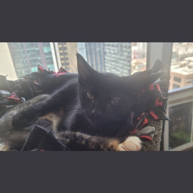 Photo of Harvey   Located In Melbourne