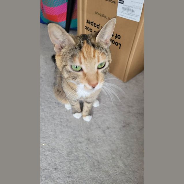 Photo of Fiorella   Located In Melbourne