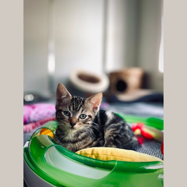 Photo of Little Miss