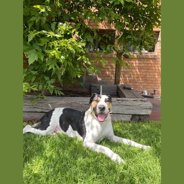 Photo of Cash 