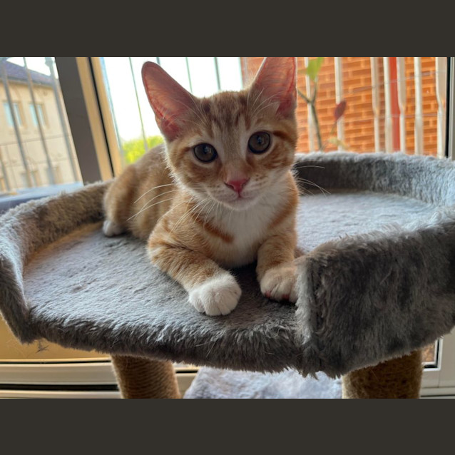 Photo of Ruben 