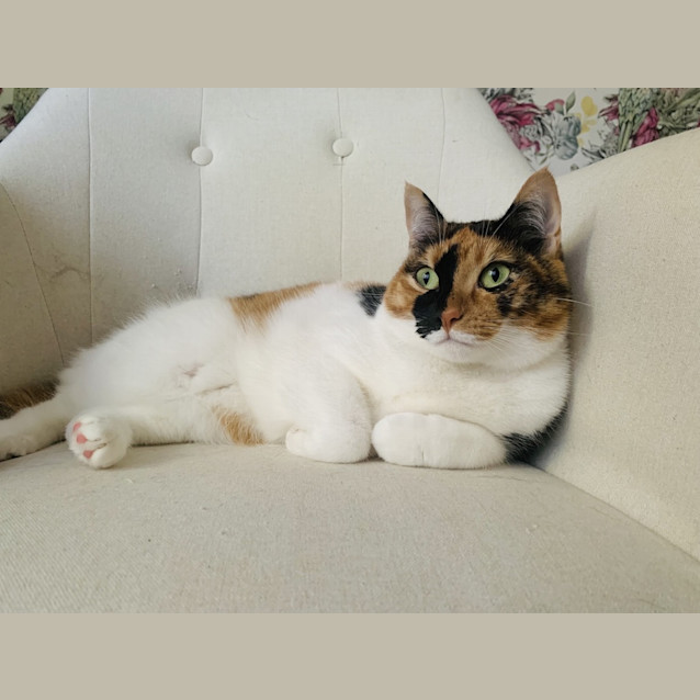 Photo of Shanti