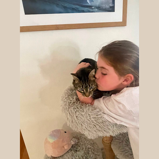 Photo of Alfie Meet Me@Mornington Petstock On Nepean Hwy