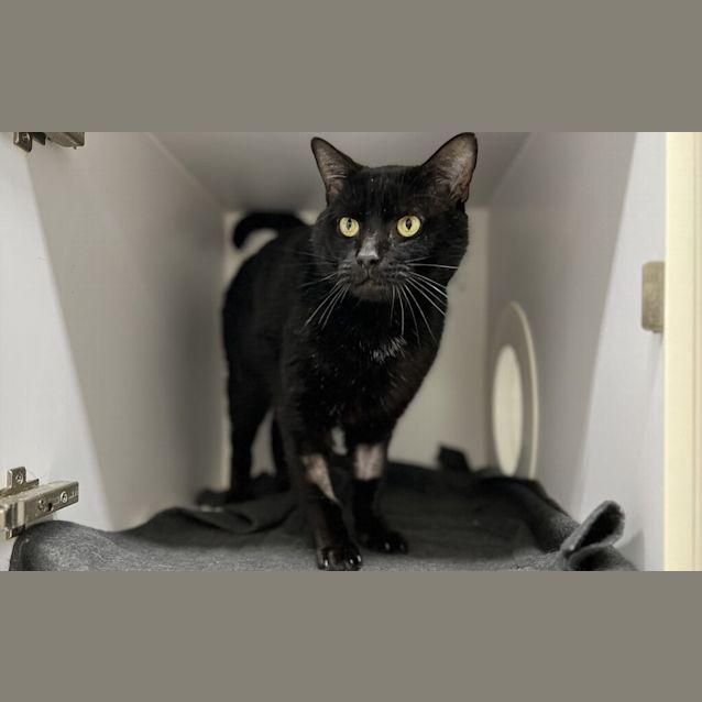 Photo of Buddy