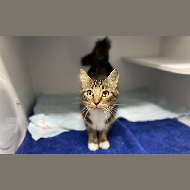 Photo of Miss Lady