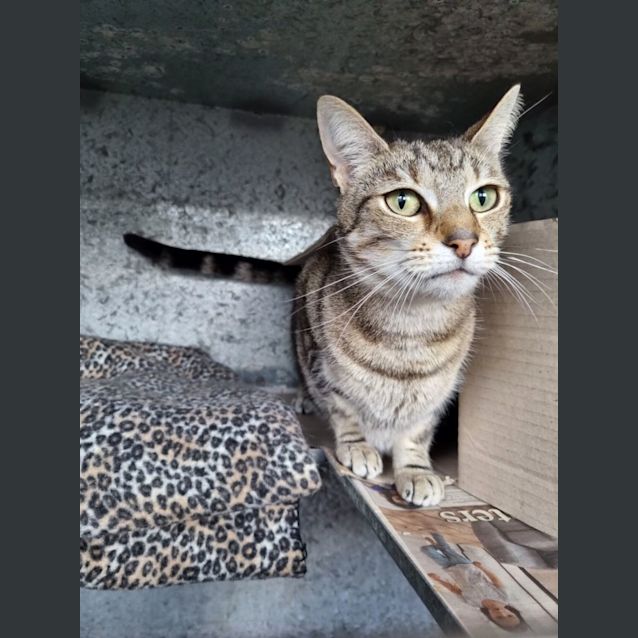 Photo of Tabitha
