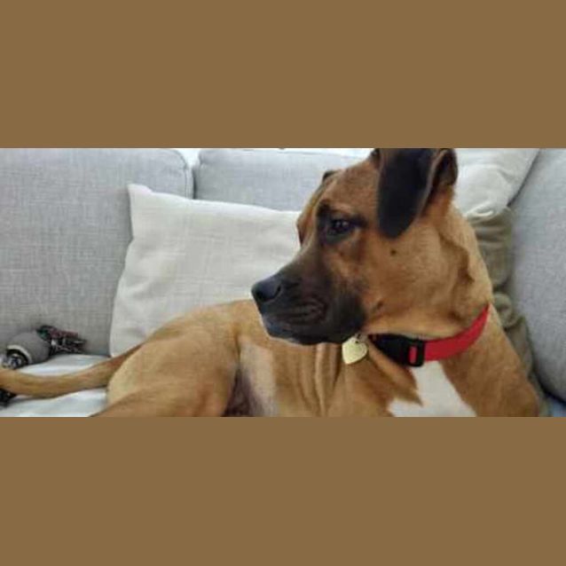 Photo of Bess