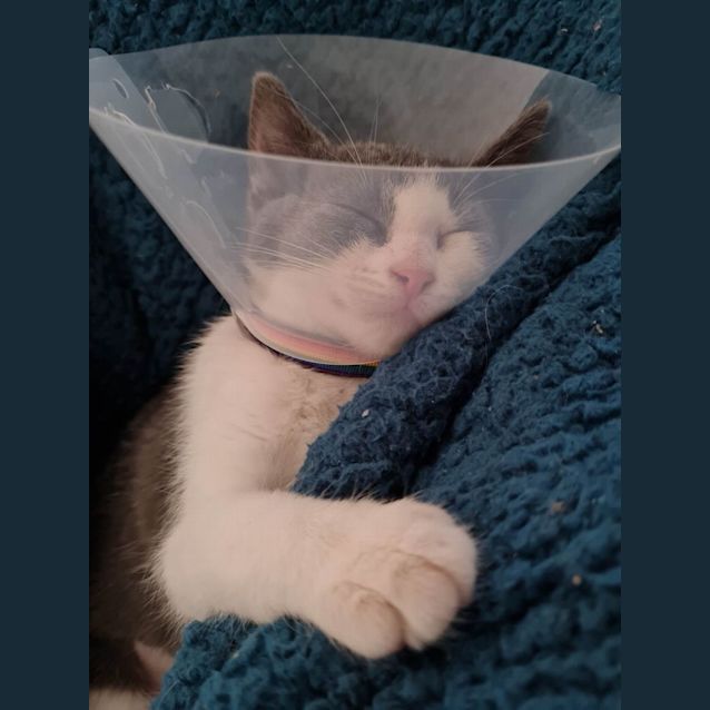 Photo of Evie   Located In Melton South