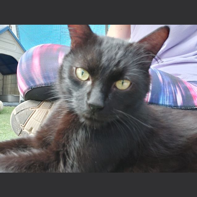 Photo of Salem