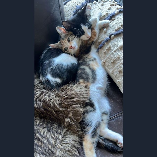 Photo of Austin & Mc Kenna