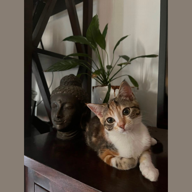 Photo of Austin & Mc Kenna