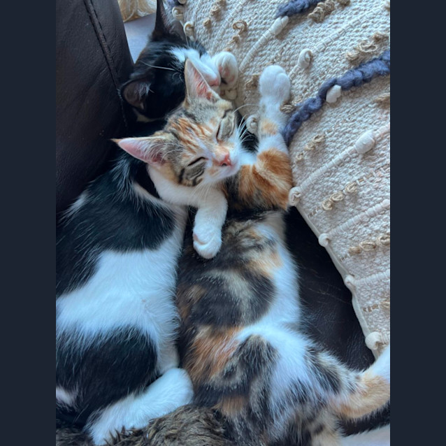 Photo of Austin & Mc Kenna