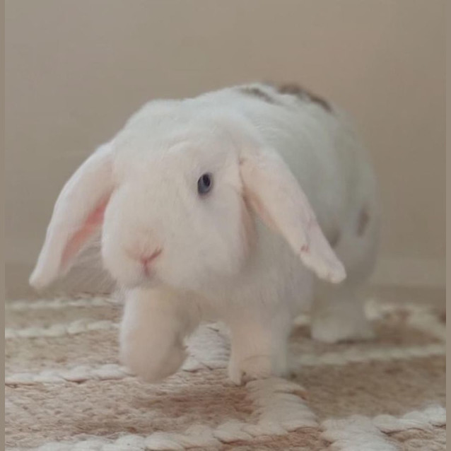 Photo of Rini Aka Tangerine And Givenchy