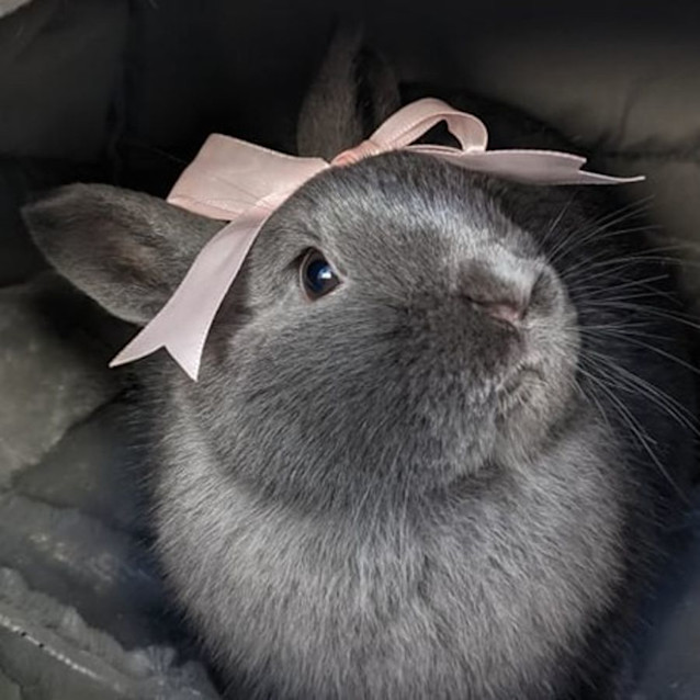 Photo of Rini Aka Tangerine And Givenchy