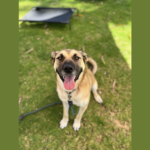 Photo of Bella