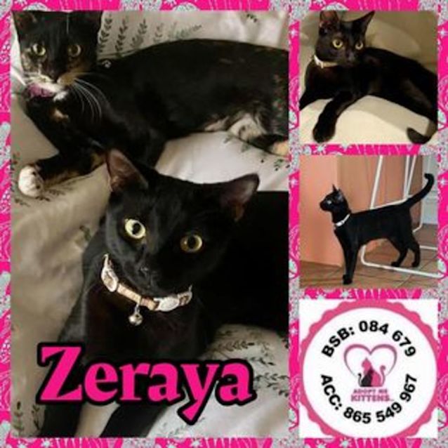 Photo of Zeraya  (Amk 3051)