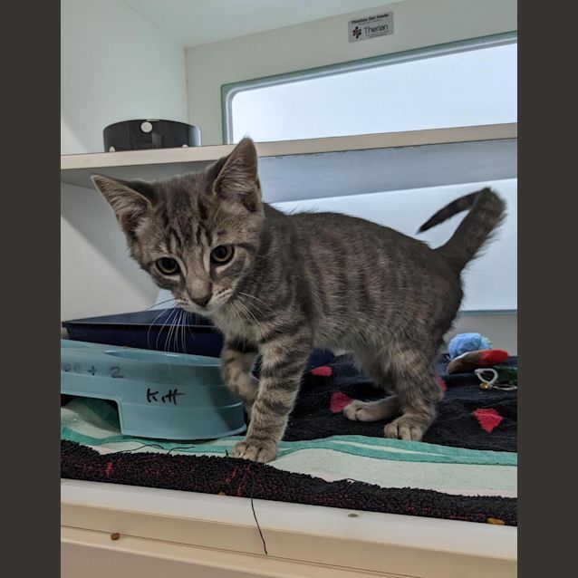 Photo of Denim