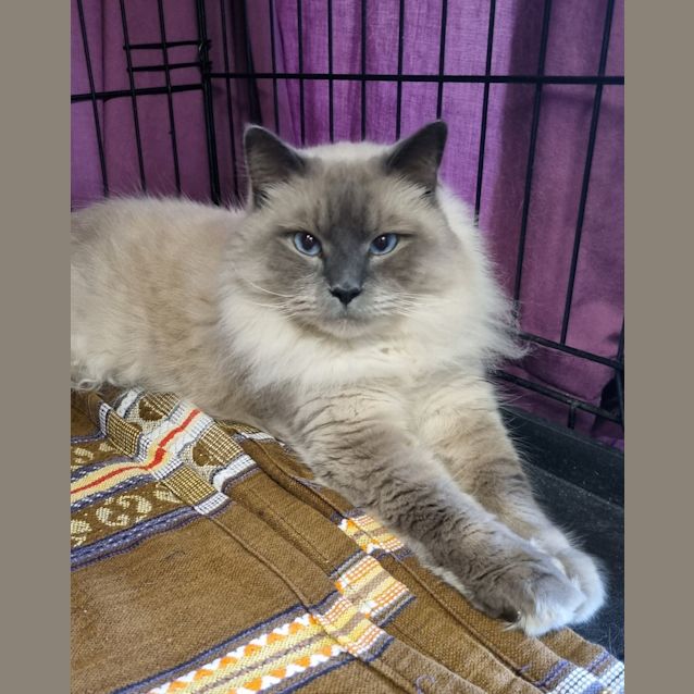 Photo of Wilbur