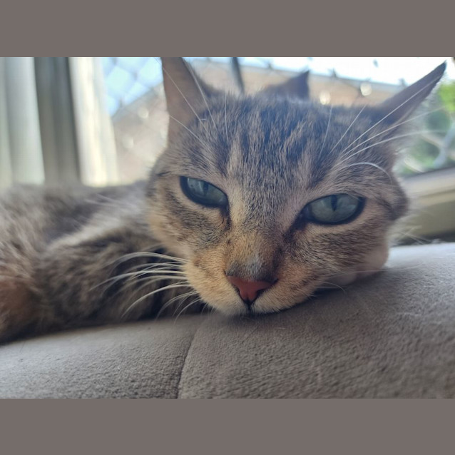 Photo of Mickey 🐭🏰