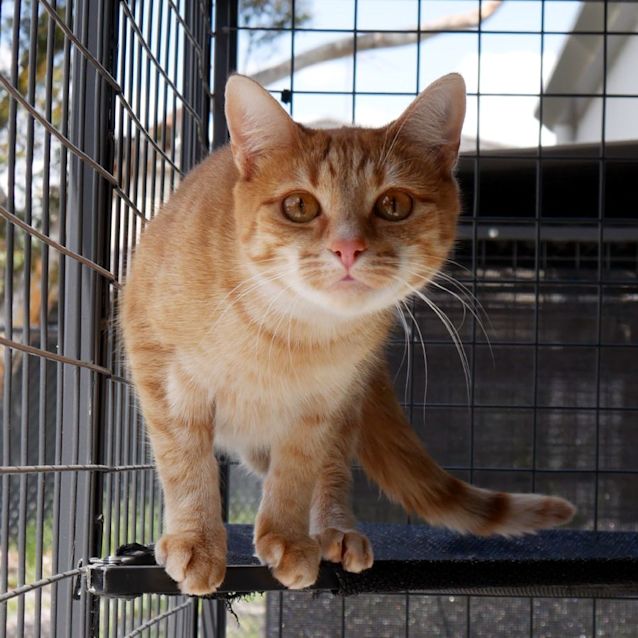 Photo of Kate Sua010492