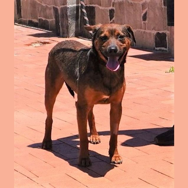 Photo of Tucker