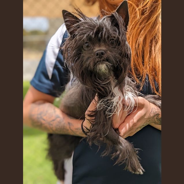 Photo of Georgie