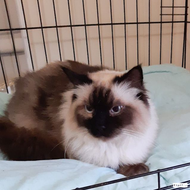 Photo of Archie