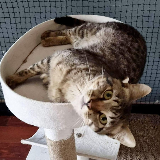 Photo of 8748   Patch Daddy