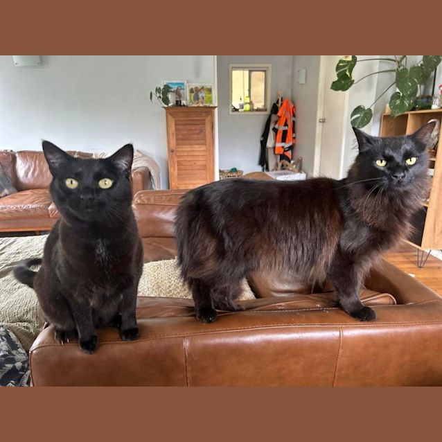 Photo of Tommy And Teddy