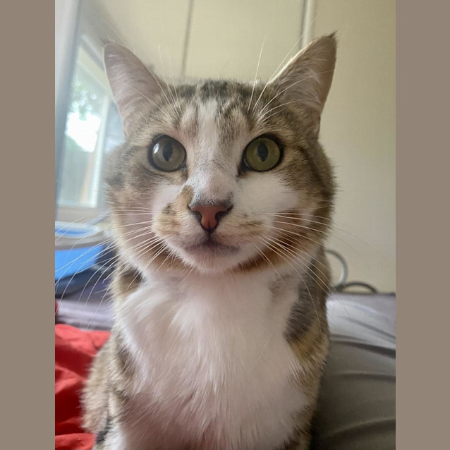 Photo of Murphy Jones