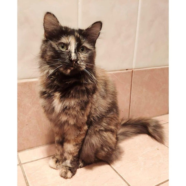 Photo of 4946   Nozomi