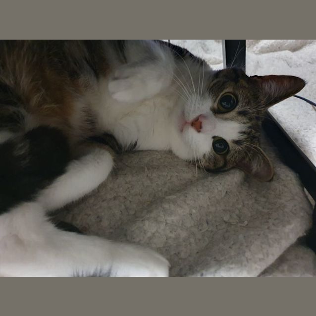 Photo of Molly