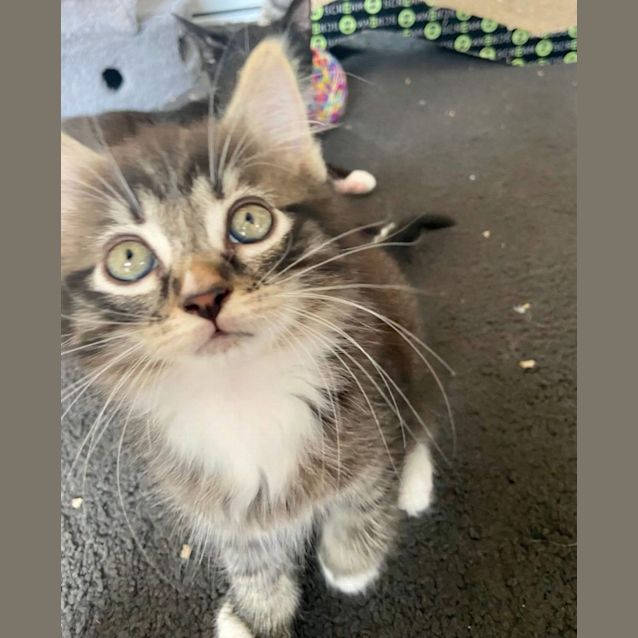 Photo of Fred   Located In Preston