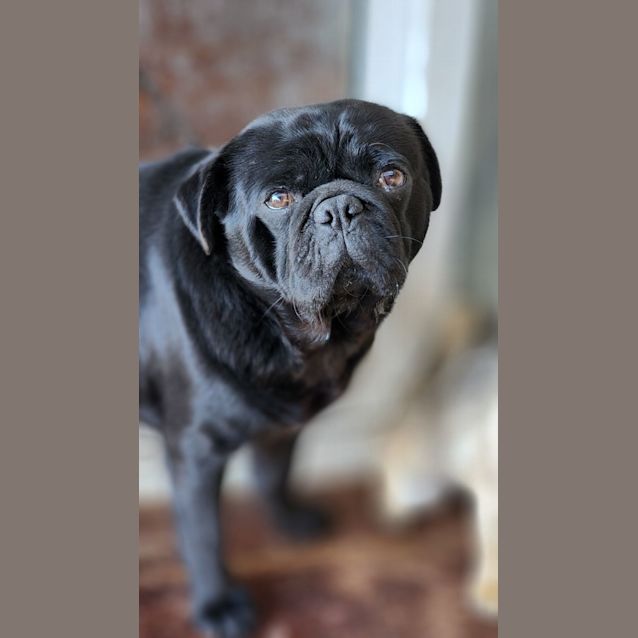 Photo of Johnny Cash