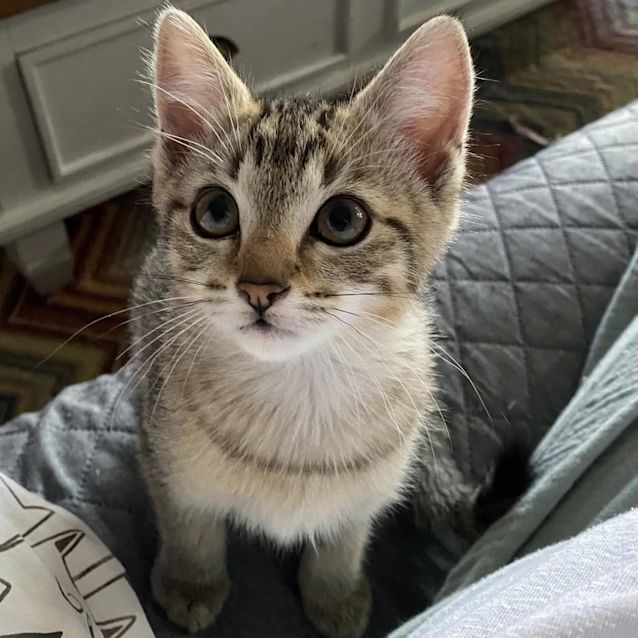 Photo of Fleur